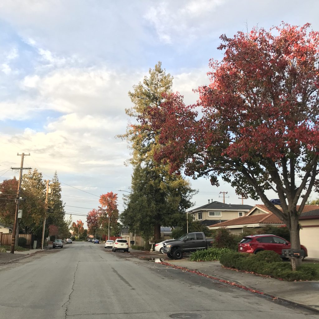 カリフォルニアサニーベール周辺の様子